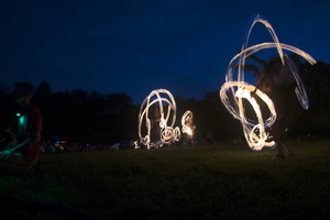 Firefly2019-0019