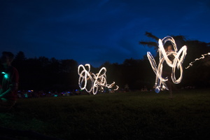 Firefly2019-0021
