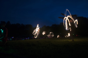 Firefly2019-0024