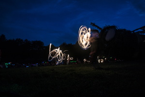 Firefly2019-0025