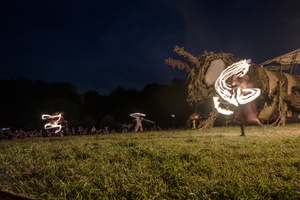 Firefly2019-0047