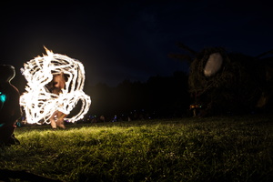 Firefly2019-0082
