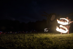 Firefly2019-0090