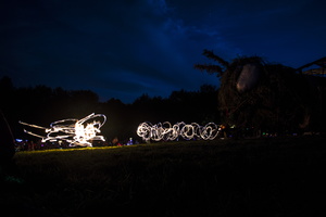 Firefly2019-0095