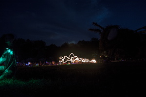 Firefly2019-0111