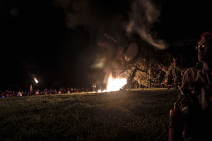 Firefly2019-0116