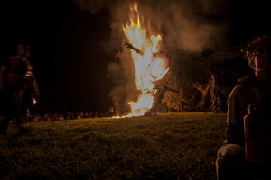 Firefly2019-0118