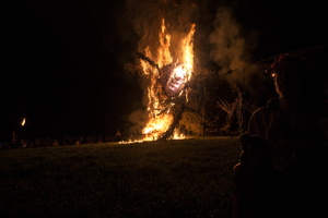 Firefly2019-0120