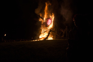 Firefly2019-0122