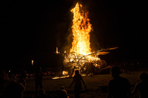 Firefly2019-0151