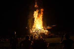 Firefly2019-0163