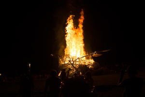 Firefly2019-0165
