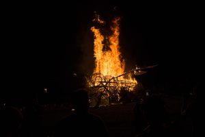 Firefly2019-0174
