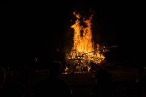 Firefly2019-0186