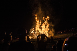 Firefly2019-0209
