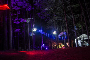 Firefly2019-0210