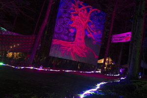 Firefly2019-0225