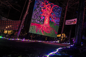 Firefly2019-0226
