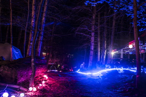 Firefly2019-0242
