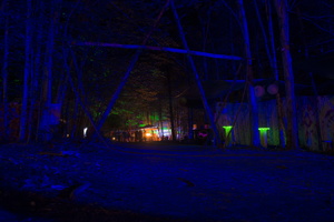 Firefly2019-0252