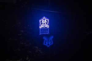 Firefly2019-0254