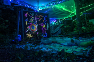 Firefly2019-0264