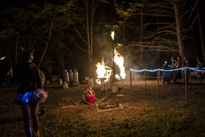 Firefly2019-0273