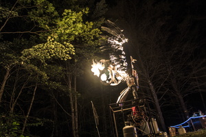 Firefly2019-0282