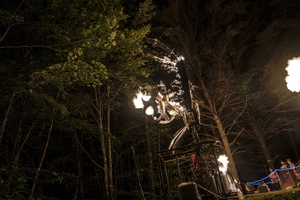 Firefly2019-0293