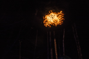Firefly2019-0294
