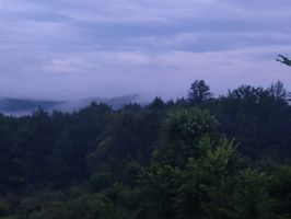 IMG 20230707 204501857