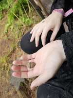8B44D331-92C5-4DE7-BB88-96BCE9931CD6 1 105 c